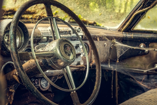 cobwebs inside a vehicle