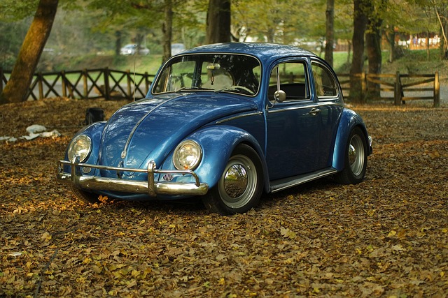 beetle